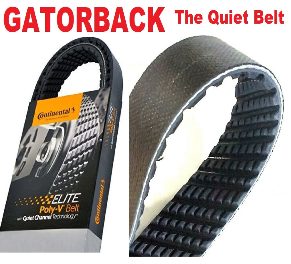 Continental Elite 4080830 Poly-V/Serpentine Belt - Quiet Performance & OE Fit