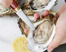 Oyster Knife Stainless Steel Kitchen Knife Seafood Tool Raw With Wood handle