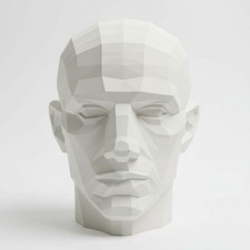 Adam planar head v2. The ultimate tool for learning the planes of the male head.
