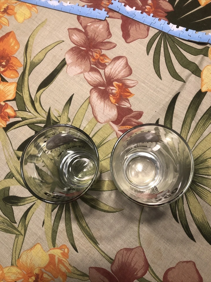 芝加哥公牛队 5 次 NBA 冠军 MGD 套装 2 品脱眼镜-6 英寸高 16 盎司 — 第 3/4 张图片