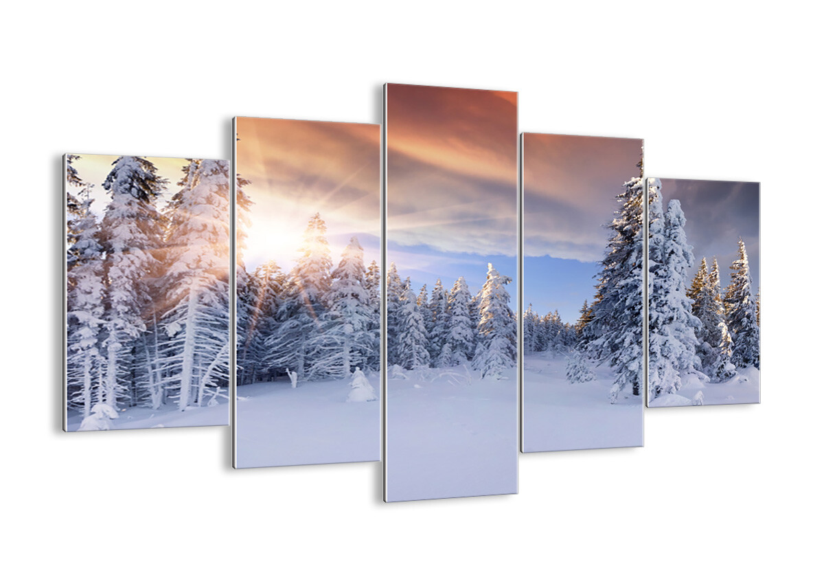 QUADRO SU VETRO Quadro moderno Avventura Avventura Avventura alpi inverno neve 2433 IT 817d03 QUADRO SU VETRO Quadro moderno Avventura Avventura Avventura alpi inverno neve 2433 IT 817d03