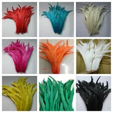 ROOSTER Tail COQUE Feathers 6-10 Inches MANY Colors; Halloween/Costume/Craft