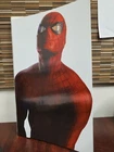 Amazing Spider-Man #50 - Mexican Foil Alex Ross Timeless Virgin - Heroes Con