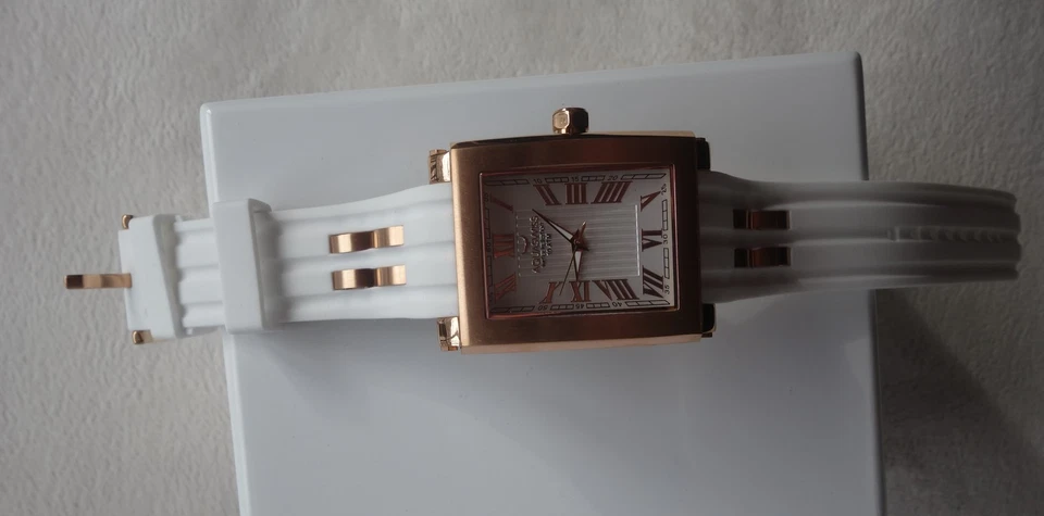 RELOJ HOMBRE AQUASWISS Tang Skeleton oro blanco y rosa NUEVO  Foto 3 de 4