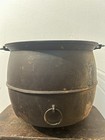 Foto 5 di 14