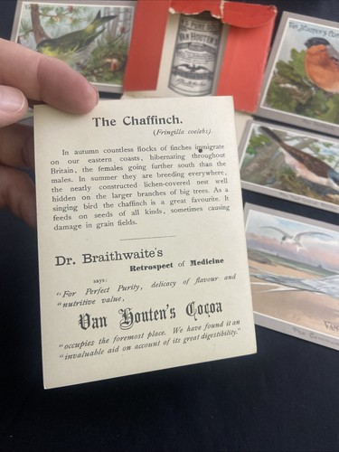 Antique Set of VAN HOUTENS Cocoa Postcard ADVERTISING Trade Cards AVIARY BIRDS - Picture 3 of 20