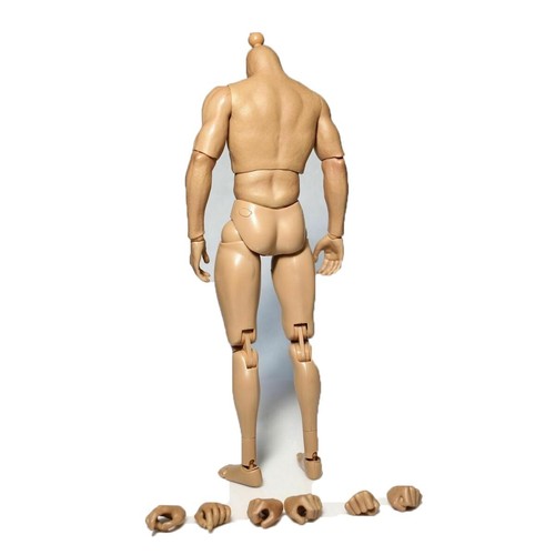 ZC Toys 1/6 Muscular Soldier Action Figure Body 12in Male Model Collectible Toys - Picture 13 of 14