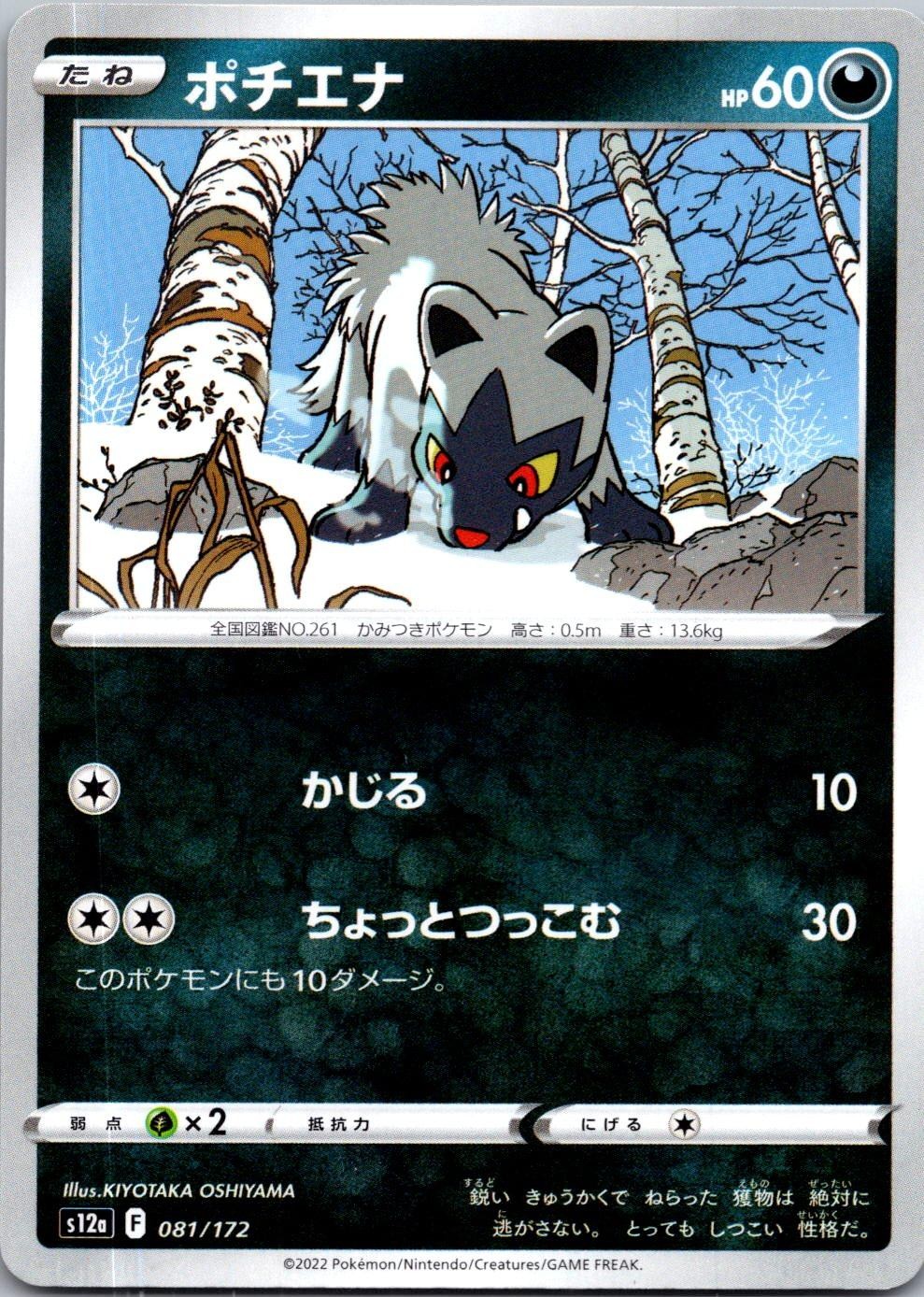 Poochyena 081/172 VSTAR Universe Japanese Near Mint