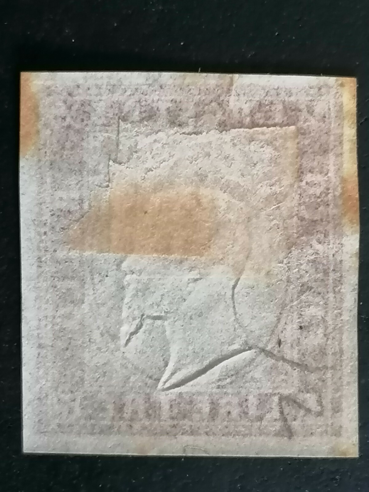 Foto 2 di 2
