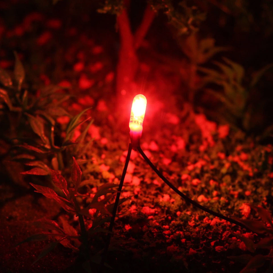 100pcs Pre-wired 3mm 12V Grain of Wheat Bulbs Red Yellow Blue Green White Mixed - Image 4 of 4