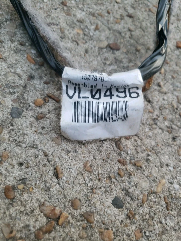 通用 2004 GMC ENVOY 4.2 室内车厢线束顶灯完整 15079781 — 第 2/4 张图片