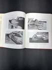 Picture 17 of 24
