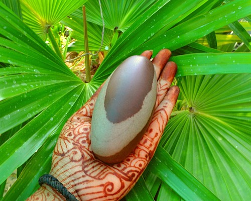 Shiva Lingam Stone Narmada River India Rare Special Nice Pocket Lingam~P-10 - Picture 7 of 8