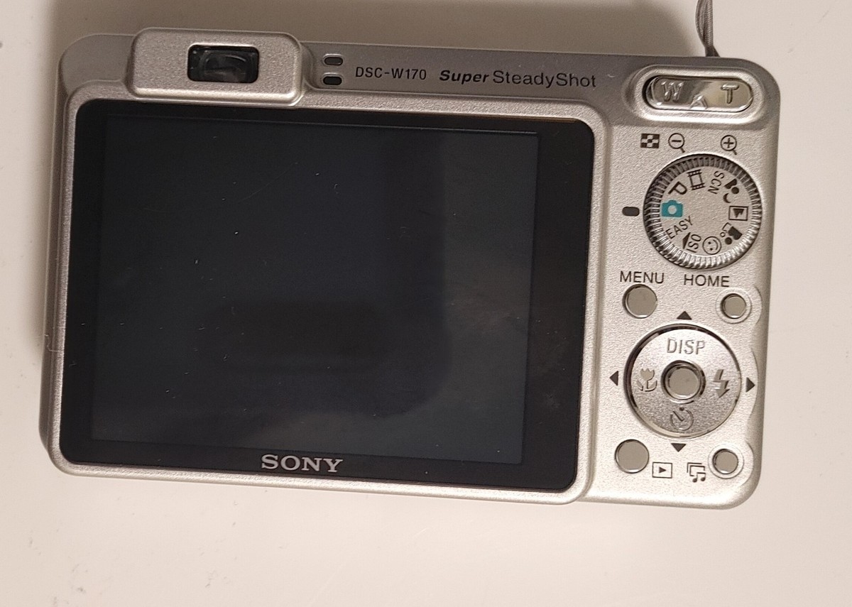 ☆極美品☆ SONY Cyber-Shot DSC-W170 動作確認済 Amazon.com : Sony Cybershot DSCW170/G 10.1MP Digital Camera