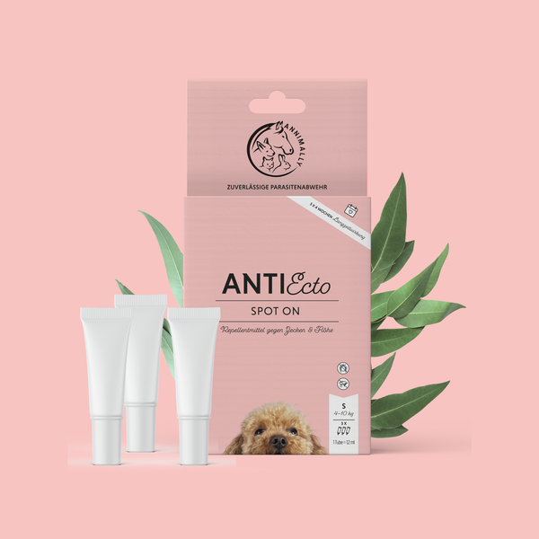 Anti Ecto Spot On S (4-10 Kg) - Floh- & Zeckenschutz FüR Hunde - Zeckenmittel-image
