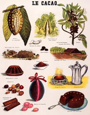 POSTER LE CACAO PLANTATION CHOCOLATE CAKE HOT COCOA BONBON VINTAGE REPRO FREE SH