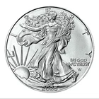 $1 American Silver Eagle Coin 1 oz BU - 2025 -US Mint, uncirculated