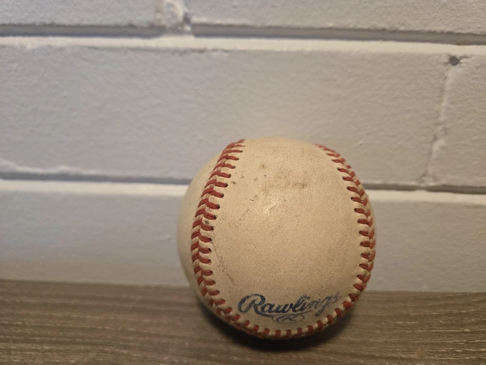Práctica oficial de bateo de béisbol Rawlings de la Liga Norte Foto 4 de 4