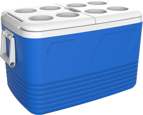 TERMOS 60L COOL BOX PORTABLE COOLBOX INSULATED COOLER FOOD DRINKS TRAVEL CAMPING