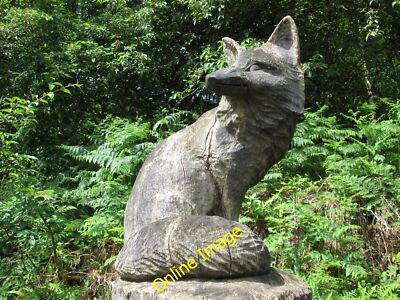 Photo 6x4 Carving of a fox , Argyle Forest Park Arrochar  c2014