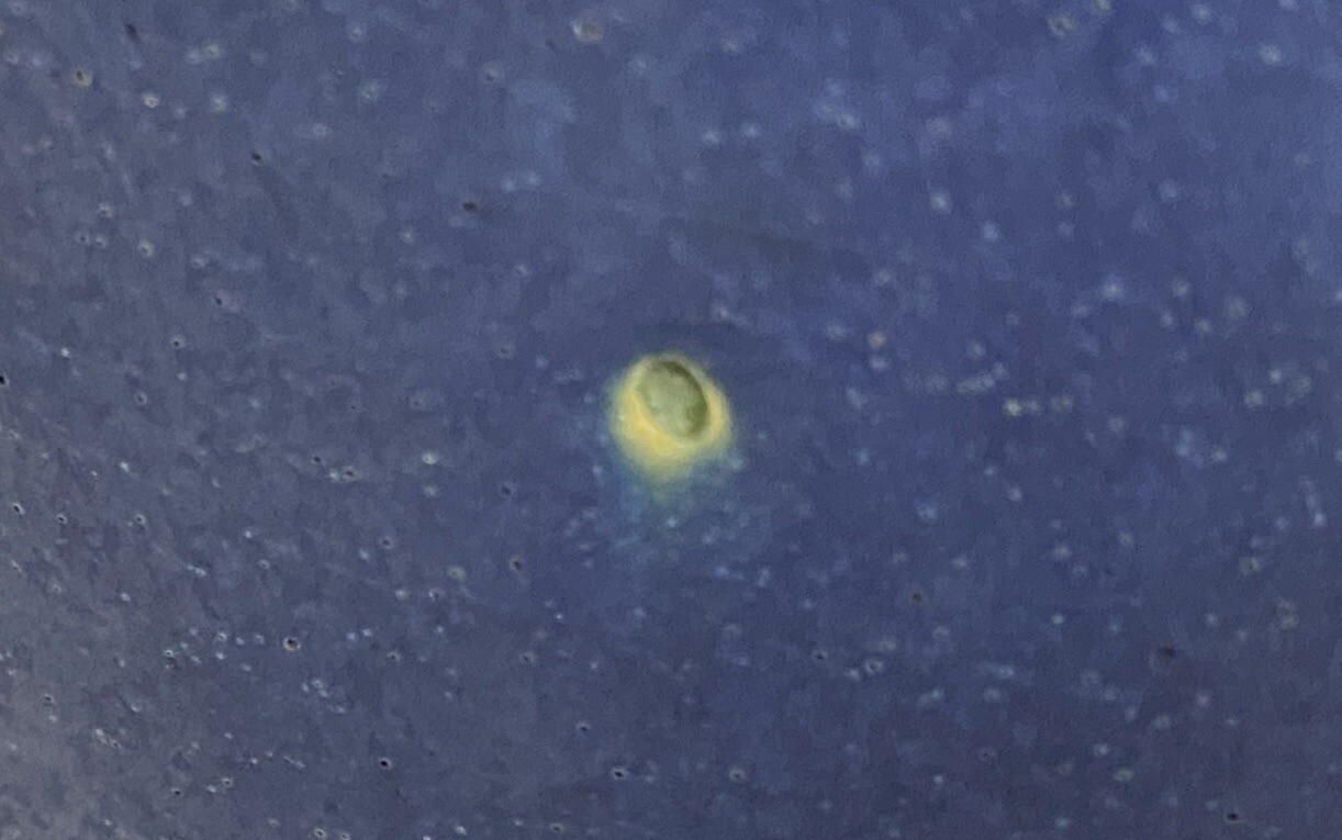 Picture 7 of 13
