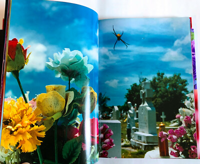 MIKA NINAGAWA Everlasting Flowers JAPAN PHOTO BOOK 2012 w MIKA NINAGAWA Everlasting Flowers JAPAN PHOTO BOOK 2012 w