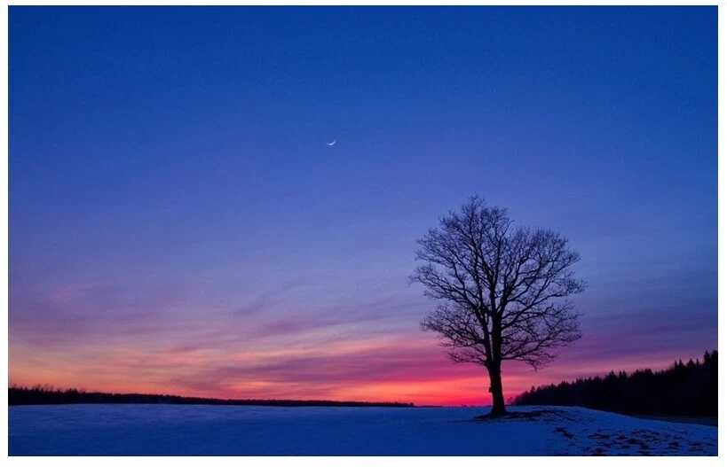 LED CANVAS PRINT STARRY NIGHT SKY TREE SUNSET LIGHTHOUSE SEAFRONT RED SKY DAWN - Image 4 of 4