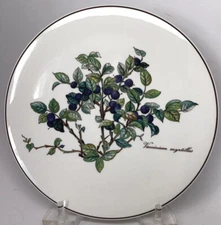 Villeroy & Boch Botanical Round Trivet Tea Tile Vaccinium Myrtillus Blueberry(44