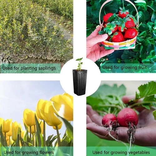 Quality Plastic 7.8 Tree Shoots Pots Tall Tree Pots Plastic Deep Nursery Treepo