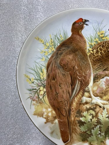 Fine Bone China Set Of 2 Decorative Game Bird Plates Signed By M - Picture 13 of 16