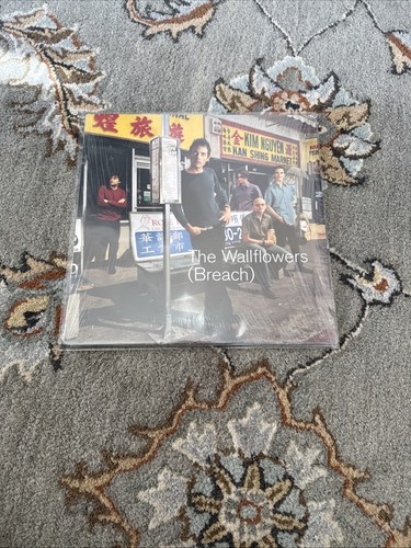 The Wallflowers, Breach, Original Analog, Jacob Dylan Schallplatte Vinyl, Top - Bild 1 von 12