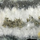 Bild 5 von 7