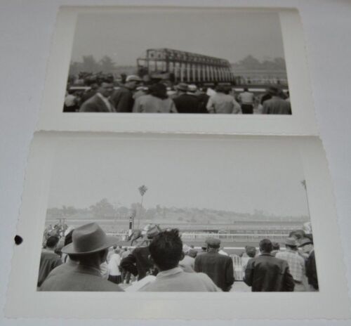 WOW 2 Vintage 1950's Horse Racing Race Track 5" x 3.5" Black & White Photographs - Picture 1 of 7