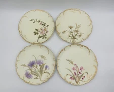 Antique 1890’s Haviland Limoges Hand Painted 4 Plates Wildflowers & Gold Mate  