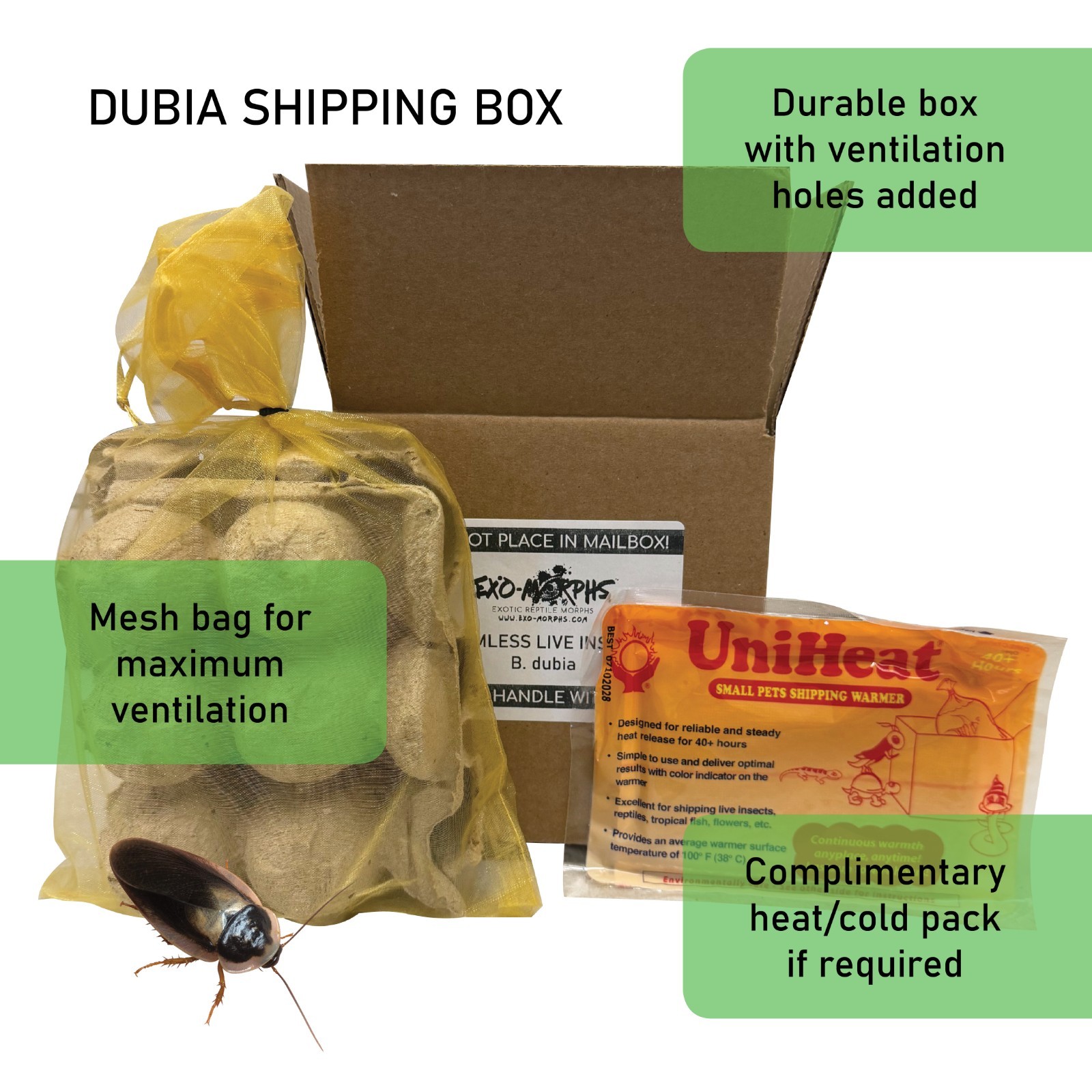 Dubia Roaches - Small, Medium, Large & Feeder Males - Live Arrival Guaranteed - $250.00 - Thumbnail 6
