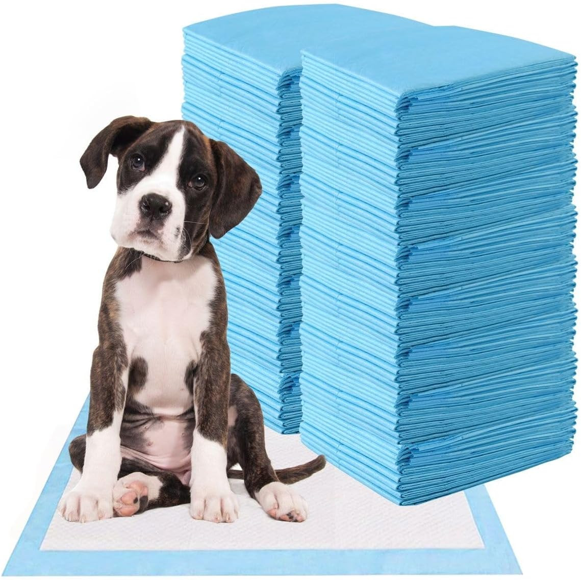 Traversine Cani 60X60 Cm - 100 Pezzi - 5 Strati Super Assorbenti Senza Perdite -
