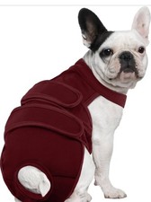 Diapers Female Washable Reusable Diapers for Dog Heat Medium New