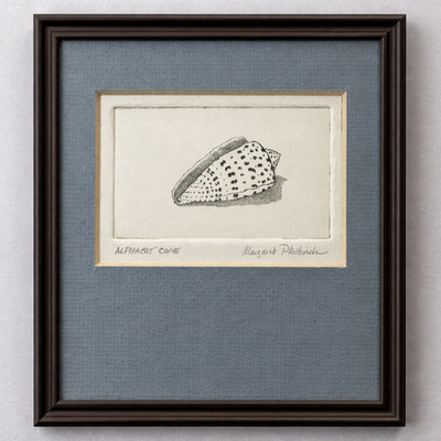 Alphabet Cone, by Margaret Philbrick, Signed Shell Study, Coastal Still Life