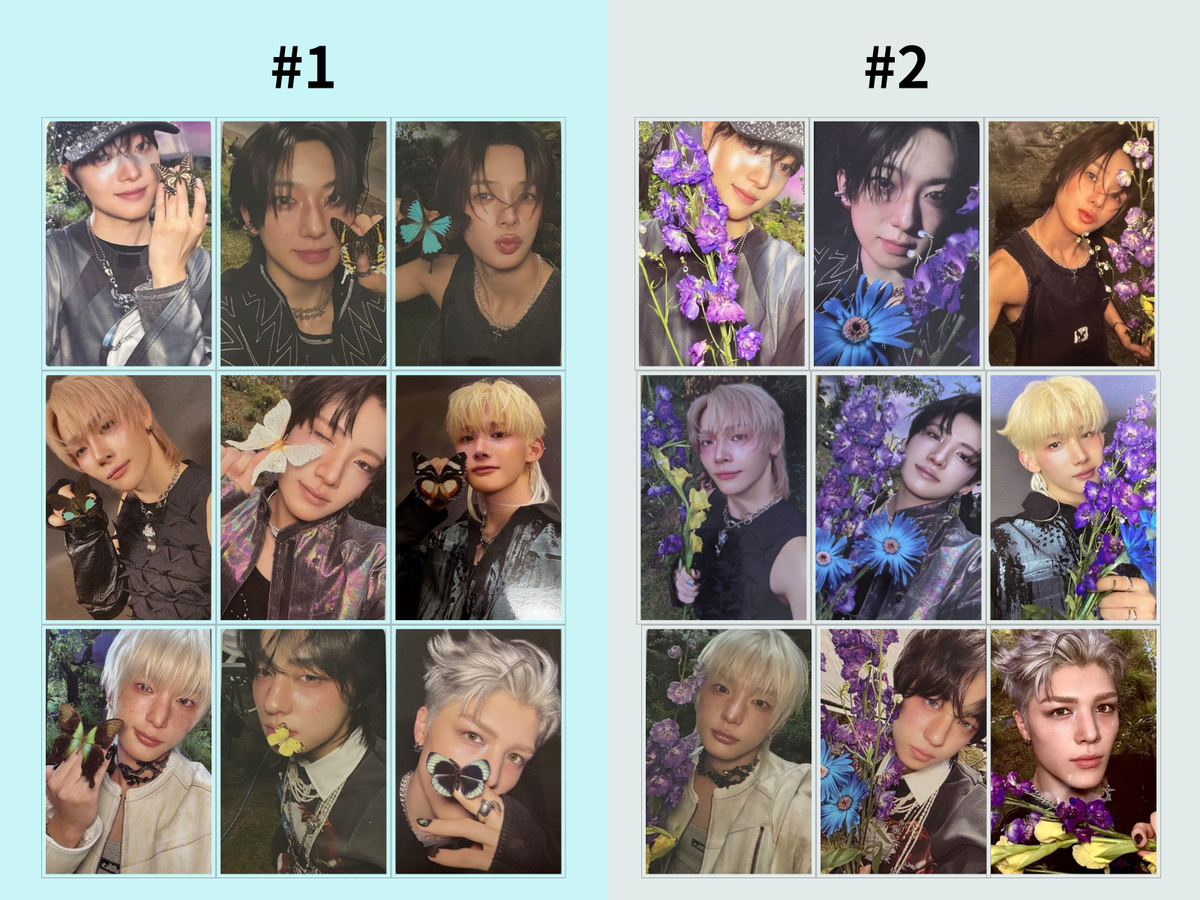 &TEAM Photocard Back to Life Solo Jacket Ver. POB Official