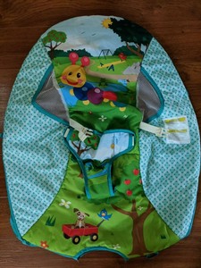 baby einstein bouncer chair