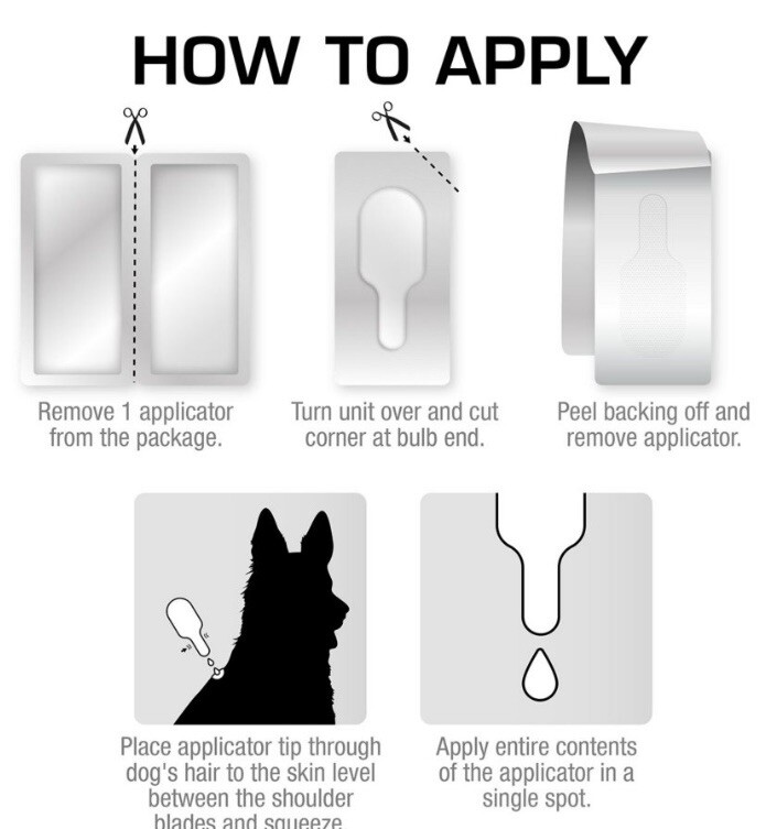 Petaction Pro for Cats Flea and Tick Treatment 8 month 818145017919 eBay