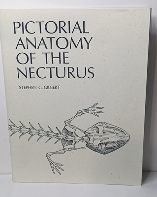 #ad Pictorial Anatomy Of The Necturus by Stephen G. Gilber $20.00