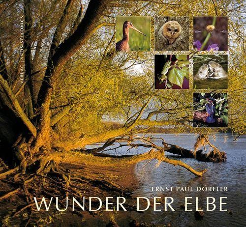 Stekovics Janos Wunder Der Elbe - Bild 2