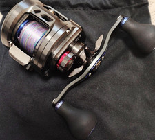 [ Daiwa Saltiga BJ200SH]