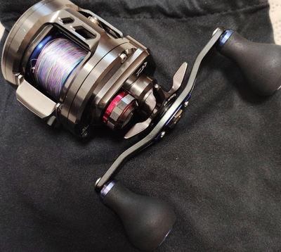 Daiwa Saltiga BJ200SH ] 4960652088343| eBay
