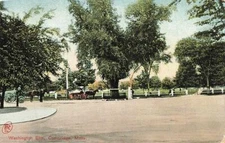 c1907 Washington Elm Cambridge MA P254