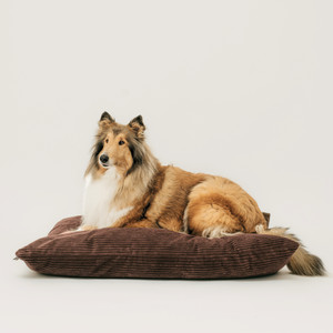 Flocke Hundebett | eBay.de