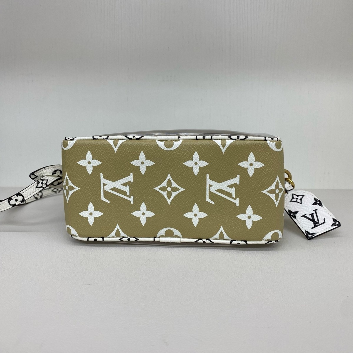 Louis Vuitton Limited Edition Jelly Beach Bag Transparent Clear