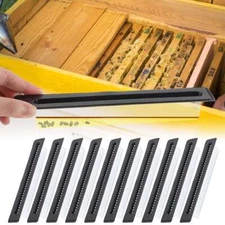 10Pcs Black Small Bee Hive Beetle Blaster Beehive Beetle Trap Beekeeping Tools