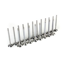 Kit de válvula de admisión y escape para VW Passat Jetta Golf Bora Audi A4 A6 1.8 20V